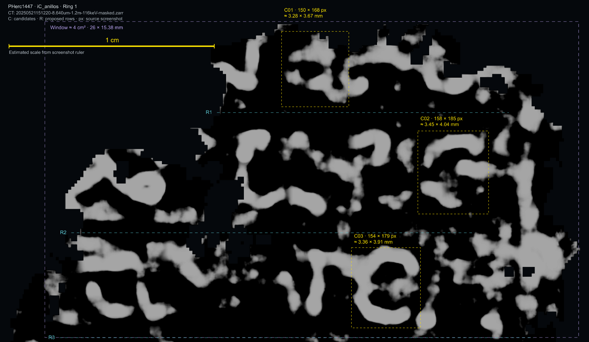PHerc1447 ink-detection image showing gray traces on black, annotated candidate regions, proposed rows and an estimated scale.